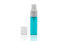 10 Navulbare Plastic de Nevelflessen van ml met Glanzende Zilveren Parfumspuitbus 13/415