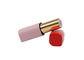 Magneet Roze Kleur die Lege de Lippenpommadebuizen bespuiten van 3.5g